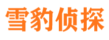 金湾捉小三公司